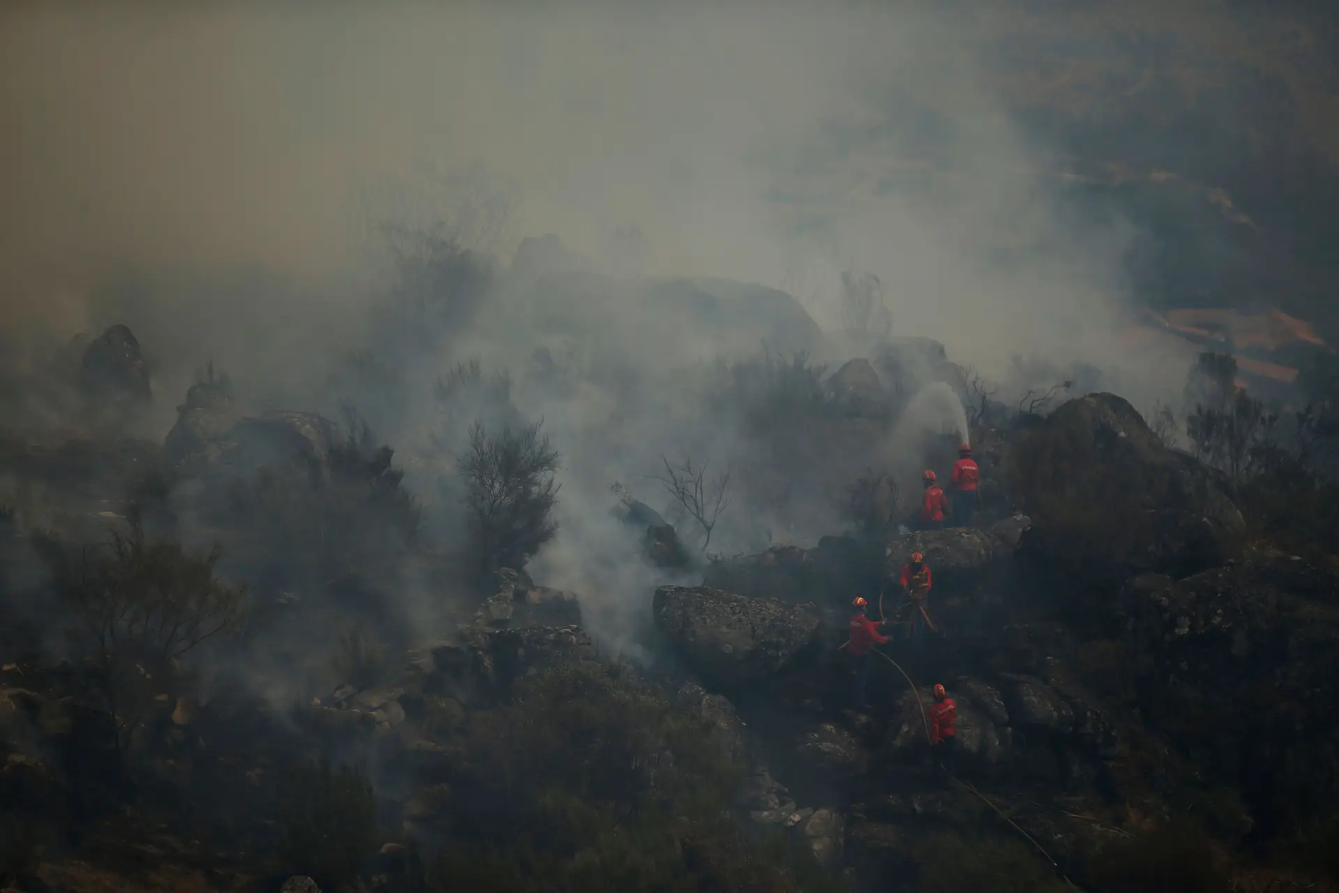 Associação de seguradoras visita zonas afetadas pelos fogos em Viseu