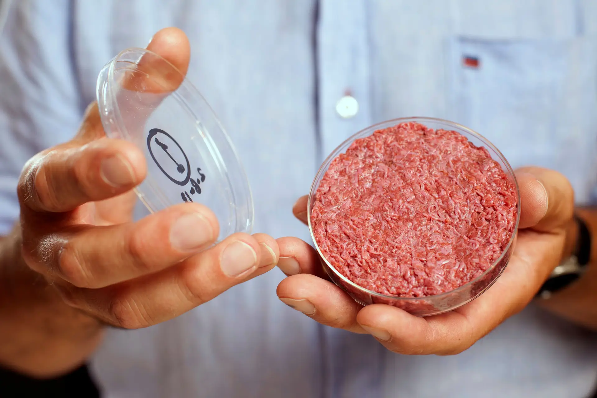 Estudo aponta carne de laboratório e insetos como alternativas à proteína animal
