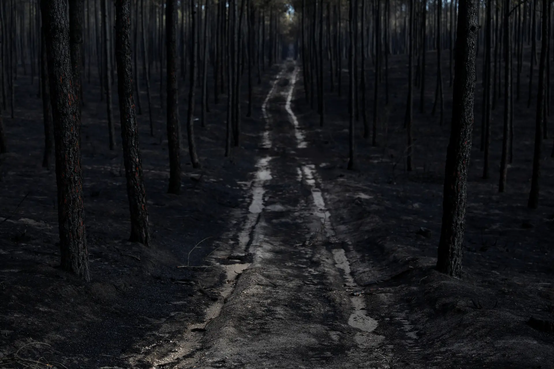 Esta foi a segunda situação mais grave de incêndios com mortos em Portugal, depois de Pedrógão Grande, em junho de 2017, em que um fogo alastrou a outros municípios e provocou 64 mortos e mais de 250 feridos.
