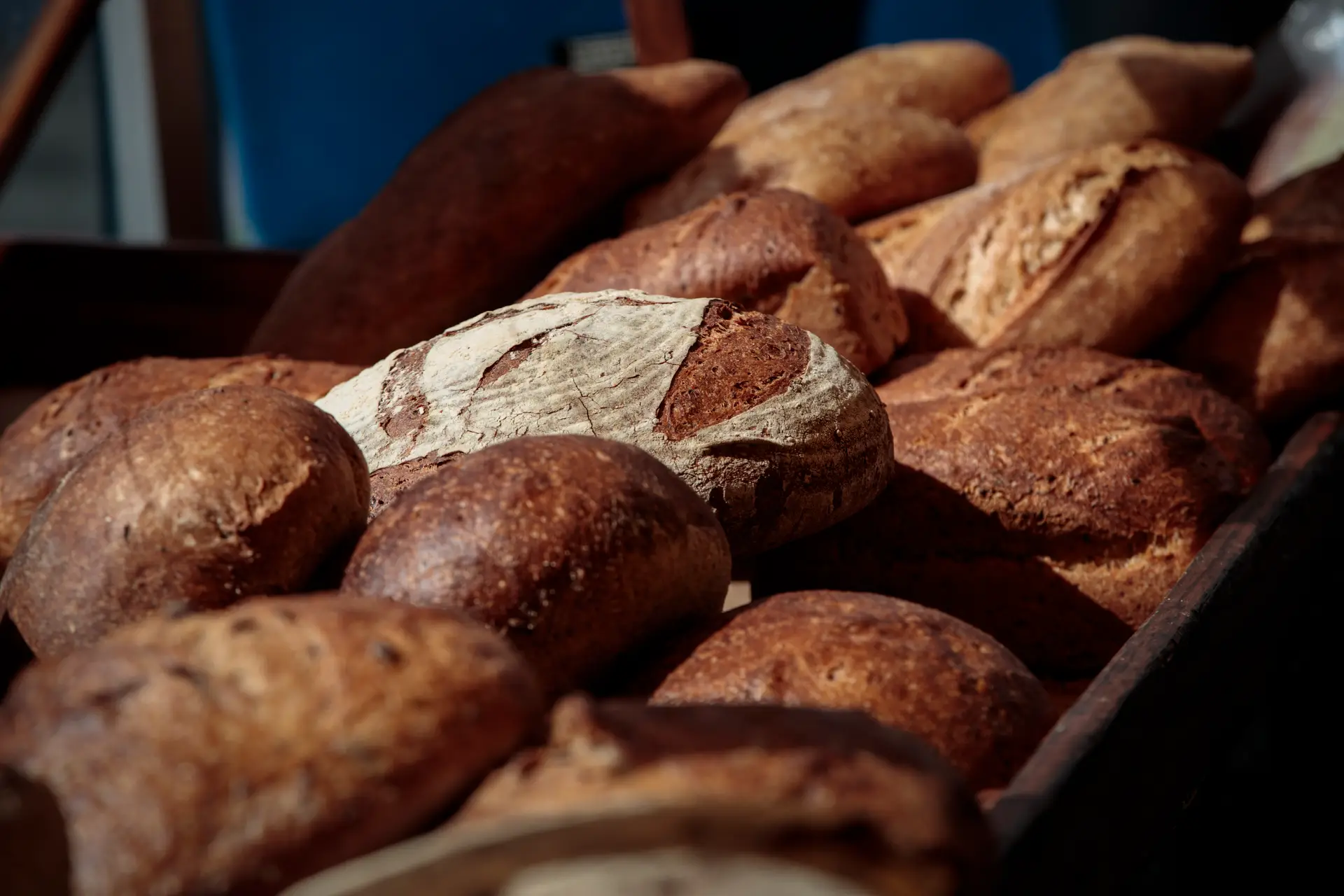 Padarias que vendam pão com menos sal antes de 2021 terão selo de qualidade