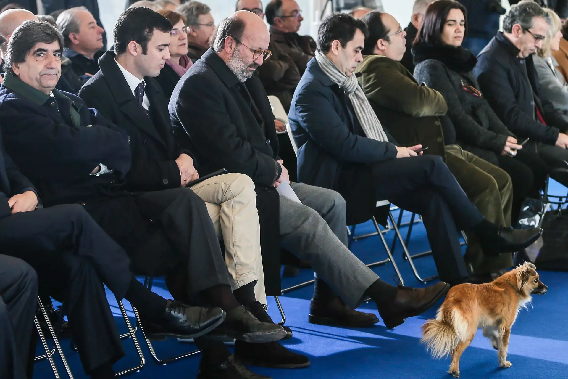 O ministro do Ambiente, João Pedro Matos Fernandes, acompanhado pelo secretário de estado do ambiente, Carlos Martins (E), no início da cerimónia de apresentação do Programa de Intervenções a Curto Prazo em Albufeiras, em Monte da Rocha em Ourique.
