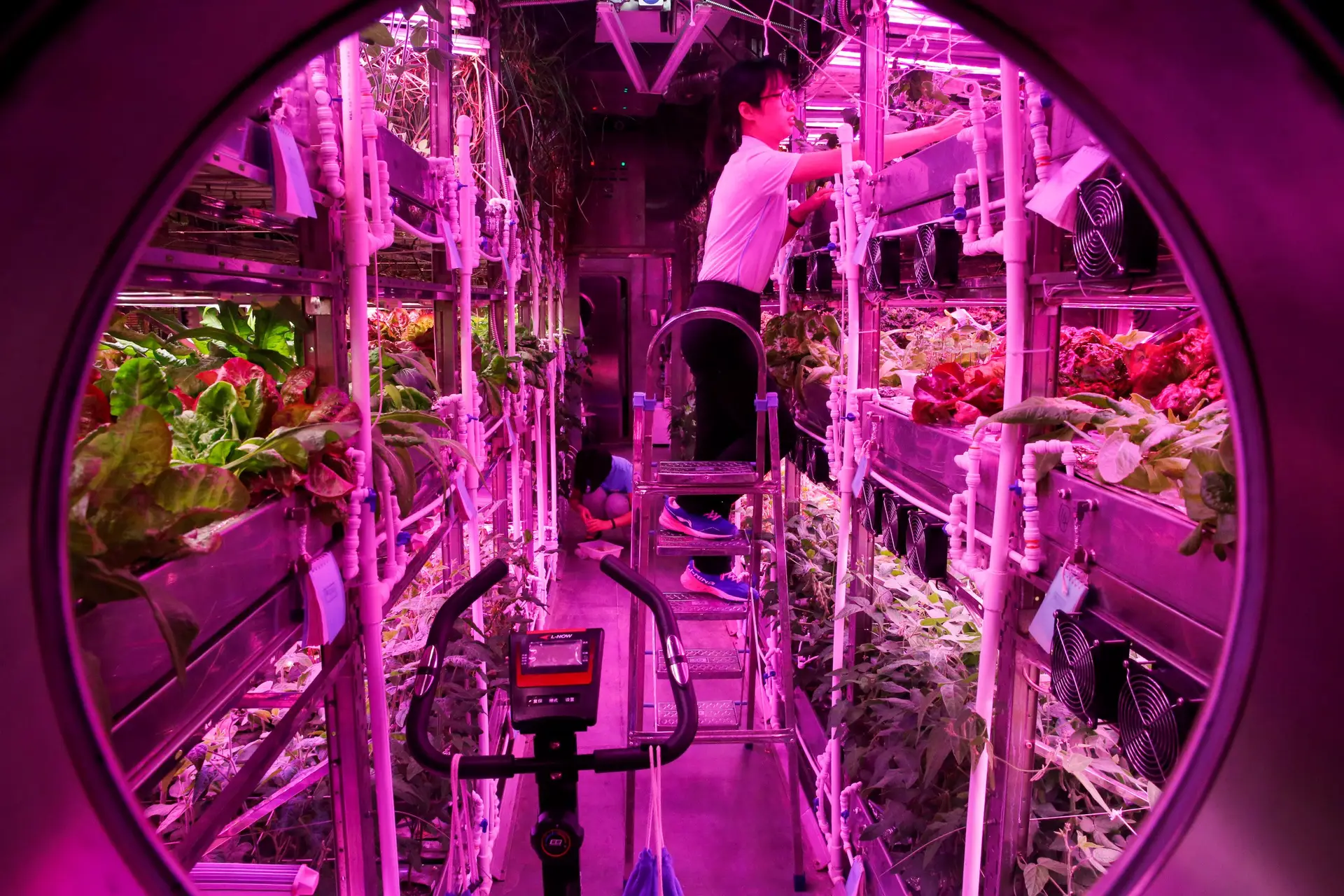 China ensaiou vida em ambiente lunar durante 200 dias em laboratório