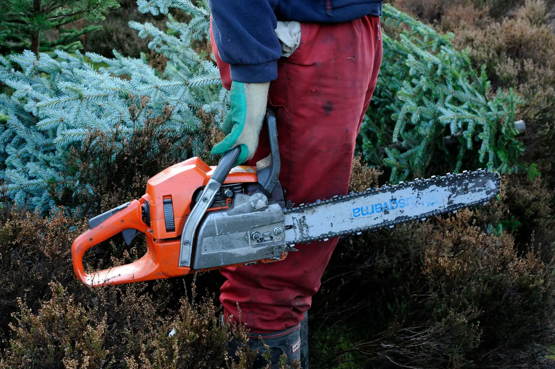 Fisco avisa contribuintes que têm até 15 de março para limpar terrenos
