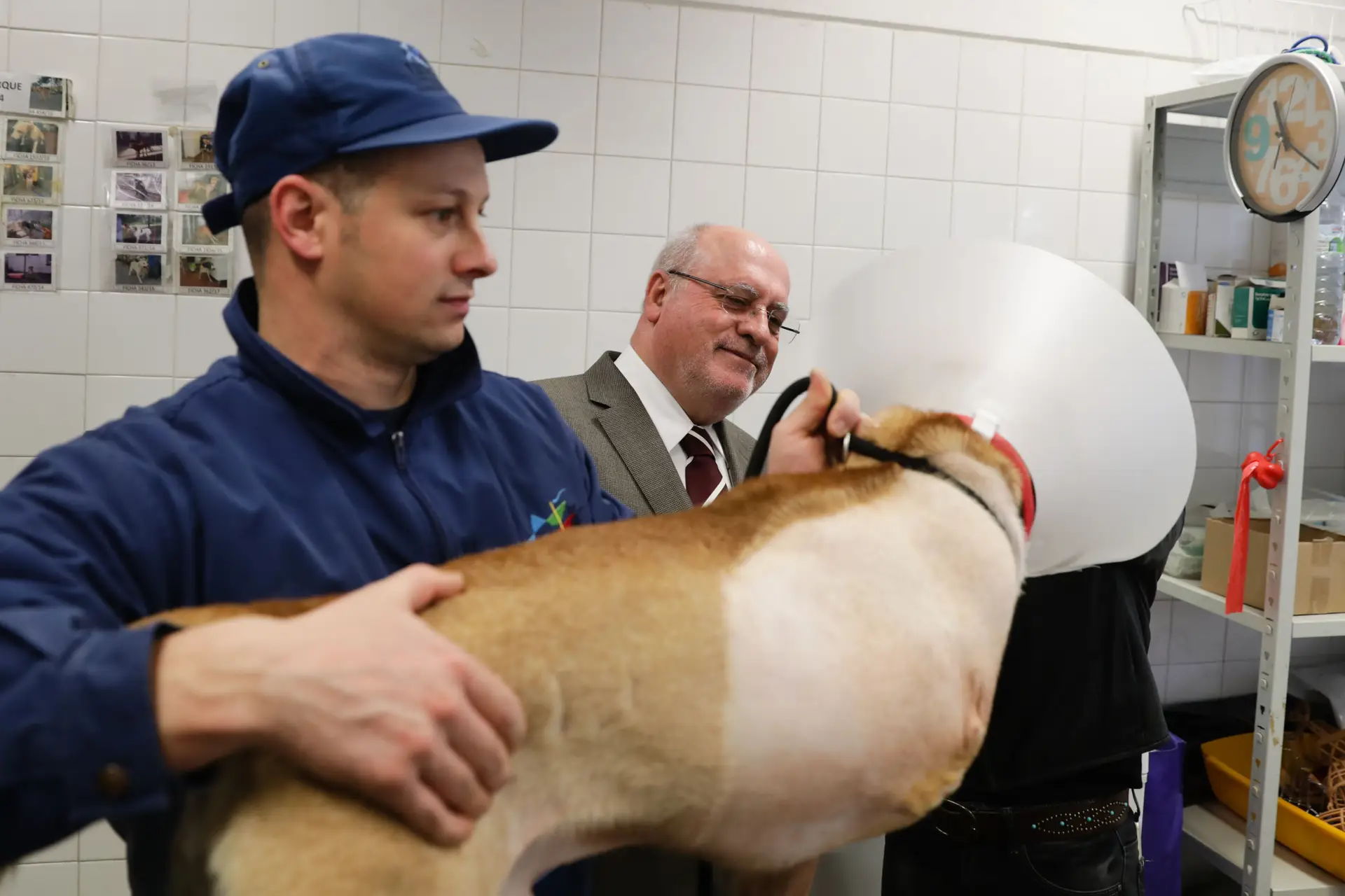 Veterinários querem integrar Proteção Civil e atuar em catástrofes