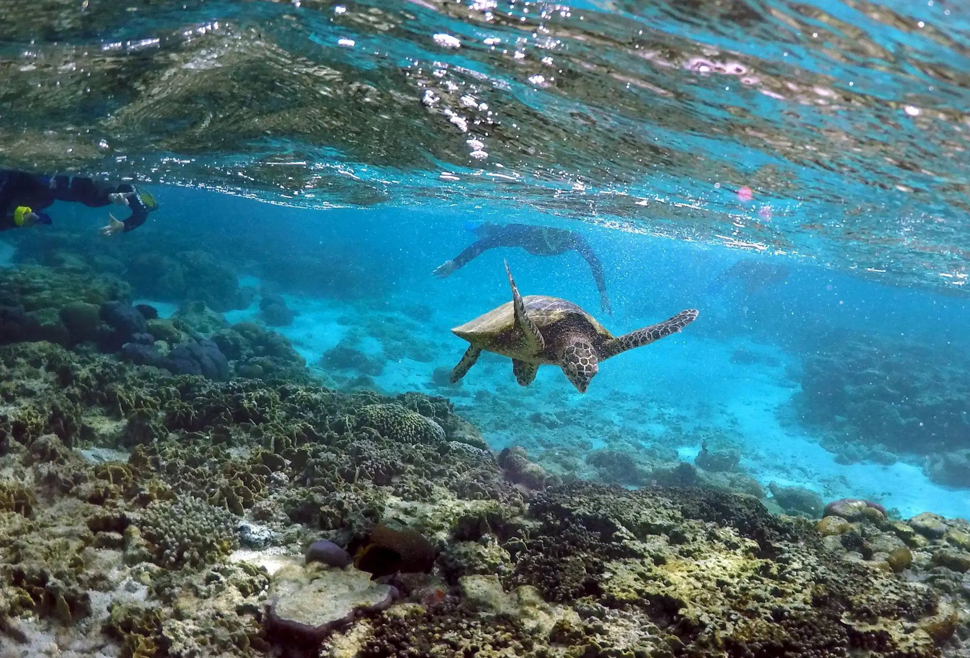 Austrália lança fundo para projetos de combate ao aquecimento global no Pacífico