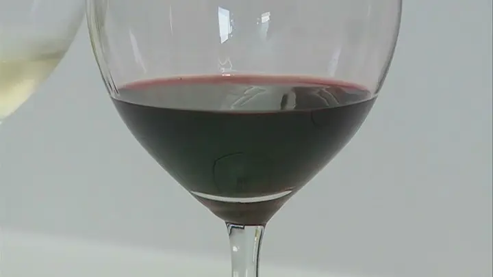 Investigadores estudam efeito do aquecimento global na produção e sabor do vinho