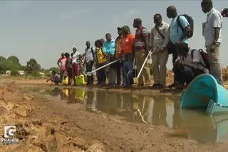 Ensaio sobre a saúde na Guiné-Bissau