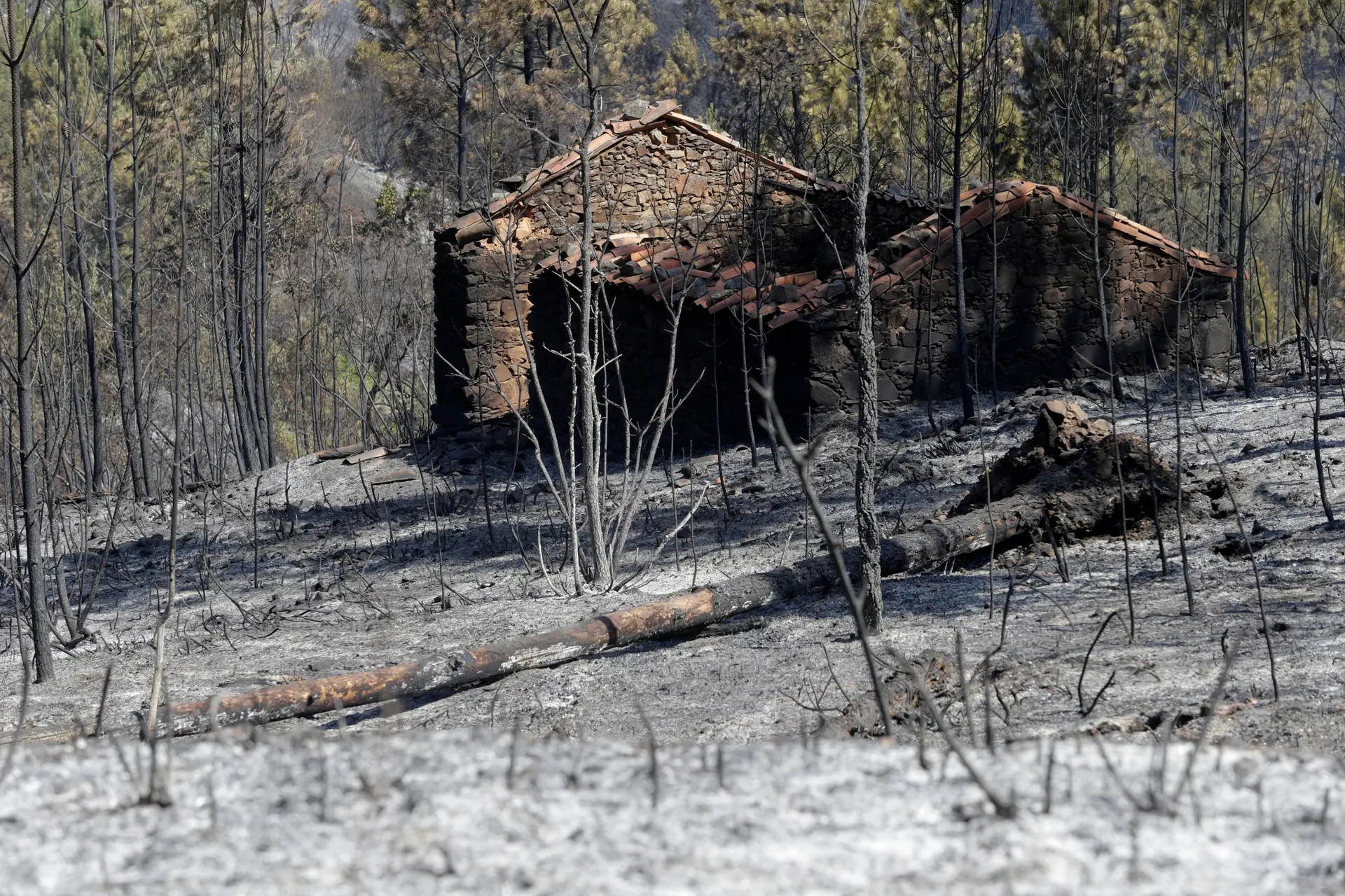 Continuam hospitalizados quatro feridos dos fogos de outubro, incluindo uma criança