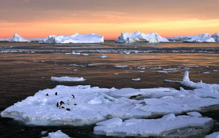 Limitar subida da temperatura global a 1,5ºC salvaria maior parte das espécies