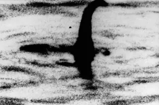 Monstro de Loch Ness pode ser uma enguia gigante