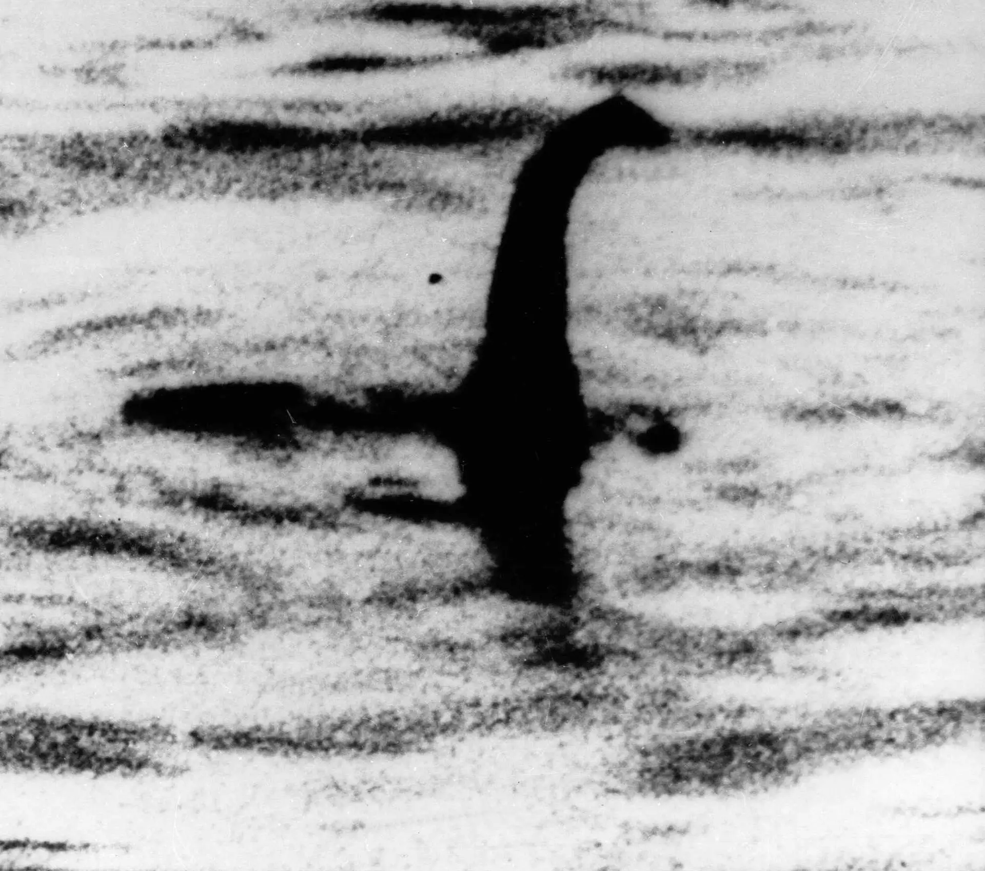 Monstro de Loch Ness pode ser uma enguia gigante