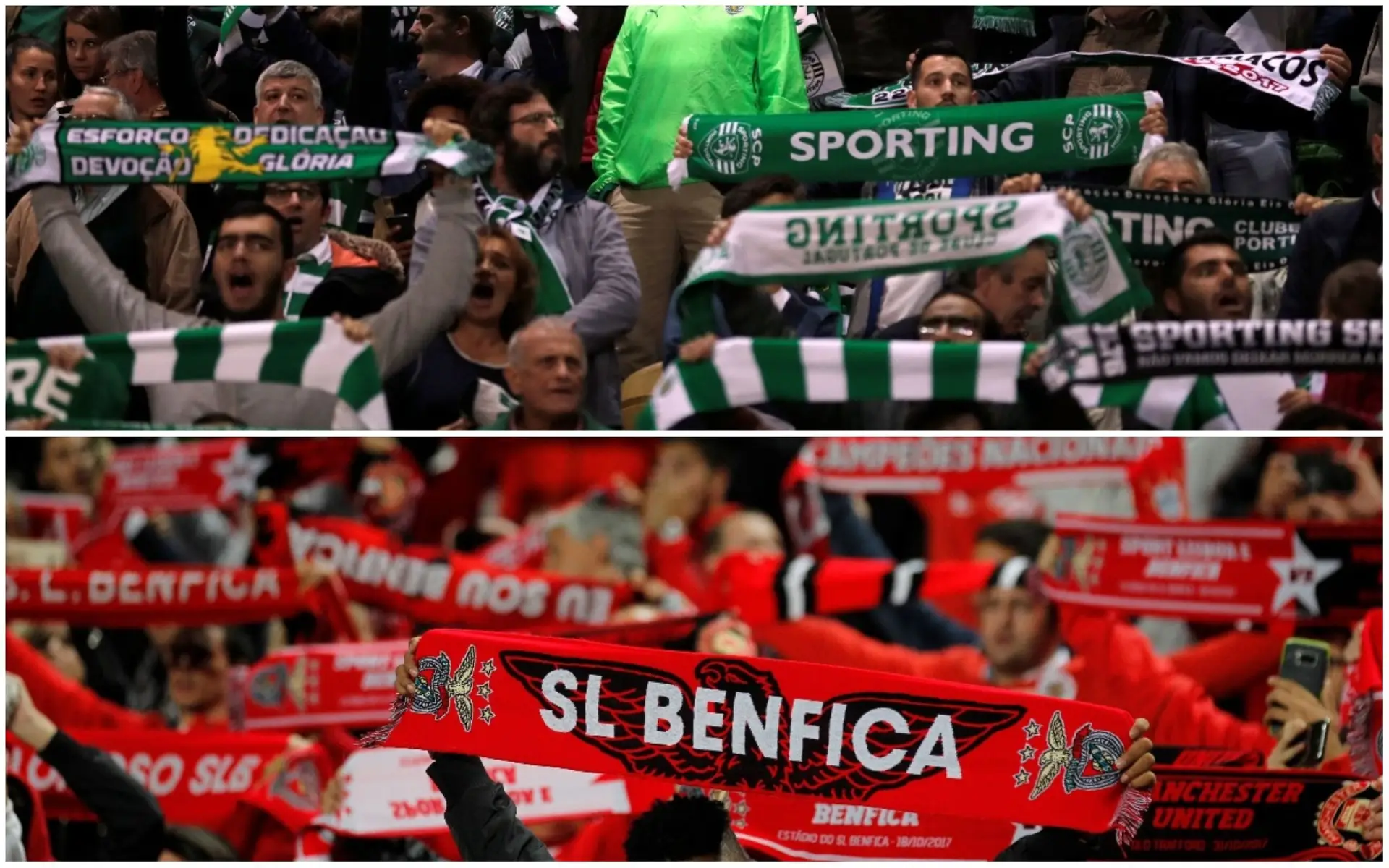 As respostas de Benfica e Sporting à investigação da SIC