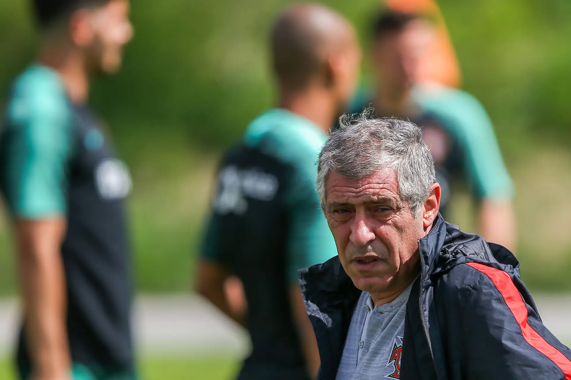 Seleção portuguesa hoje na Cidade do Futebol