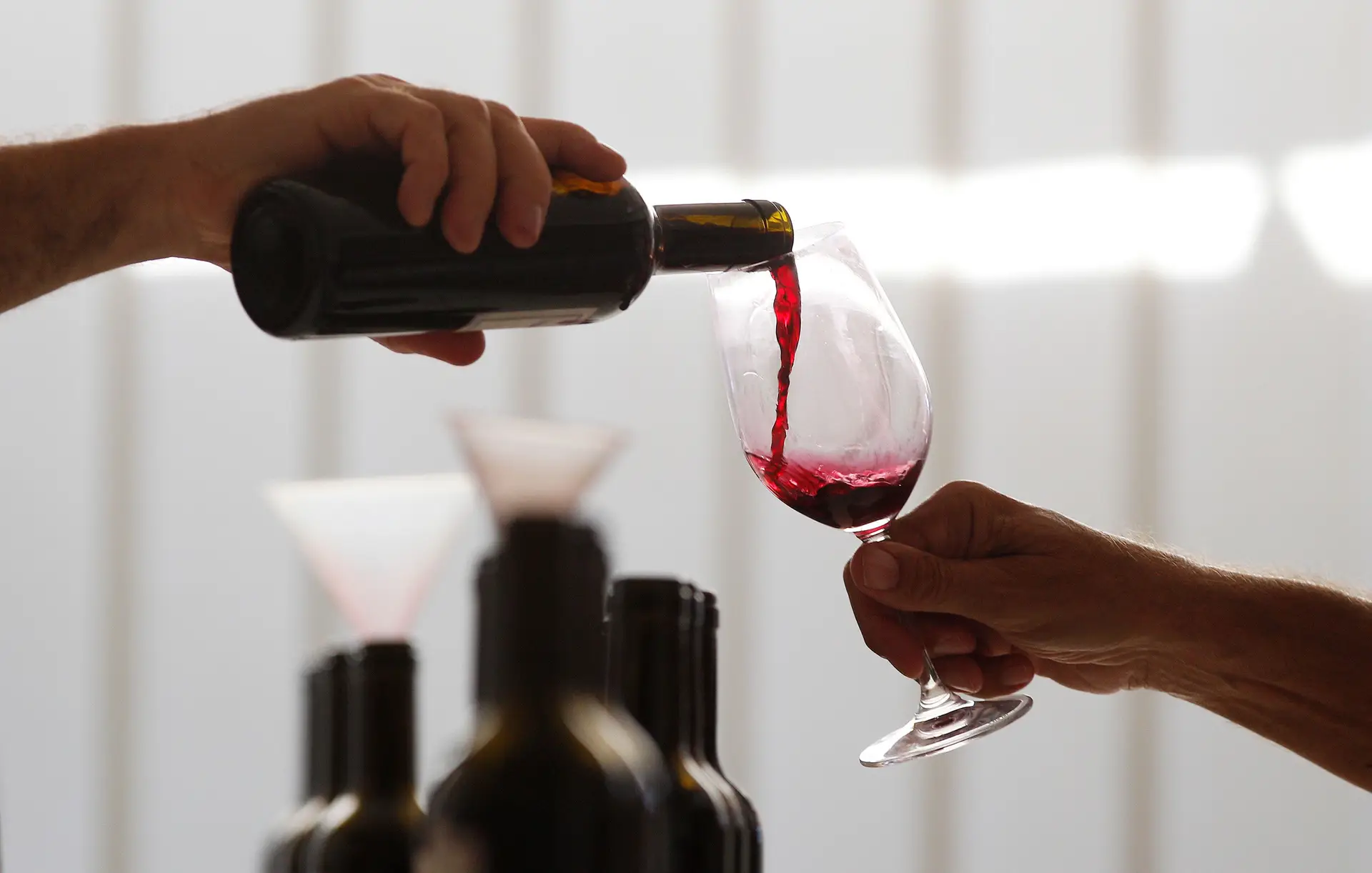 ASAE cria equipas de combate ao vinho falsificado para exportação ou venda online