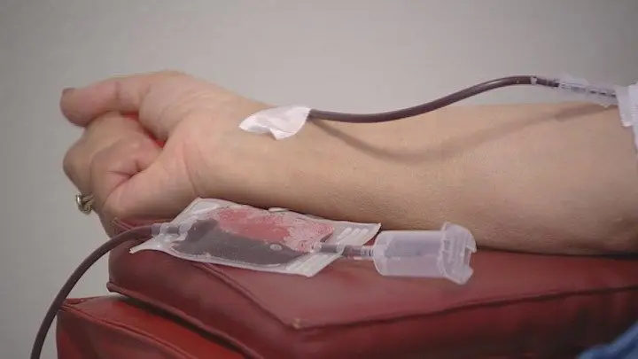 Apelo aos dadores de sangue para que "continuem a doar e não falhem"