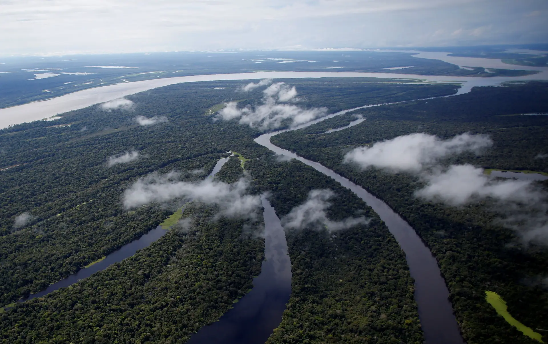 Greenpeace denuncia projetos apoiados por Bolsonaro que ameaçam a Amazónia