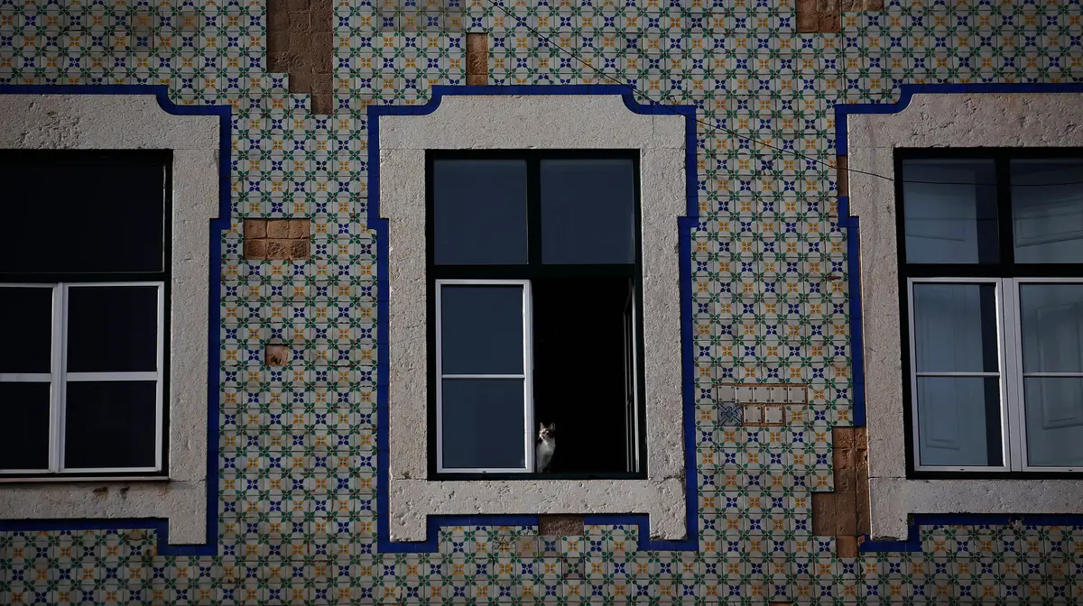 (Arquivo)