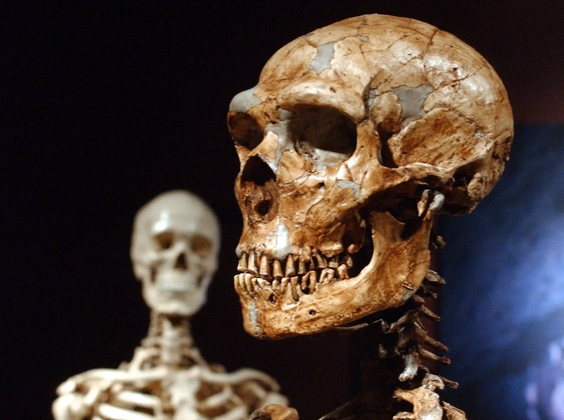 Já há provas de que homem de Neandertal ocupou Vale do Côa ainda antes do homo sapiens sapiens