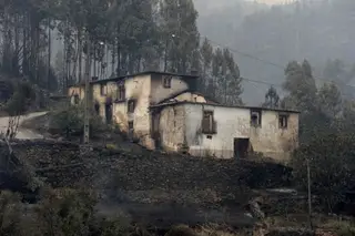 Arquivado o inquérito sobre as suspeitas de desvio de donativos às vítimas de Pedrógão Grande