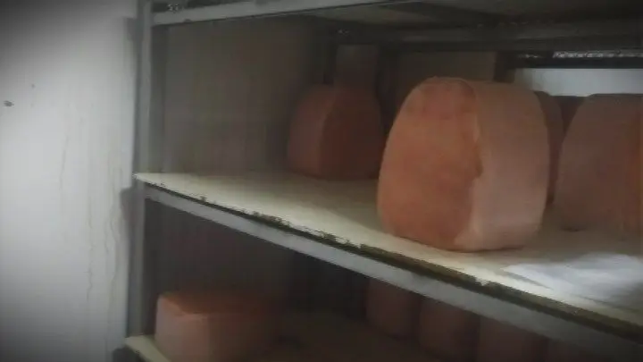 Apreendidas 4 toneladas de carne imprópria para consumo na região de Viseu