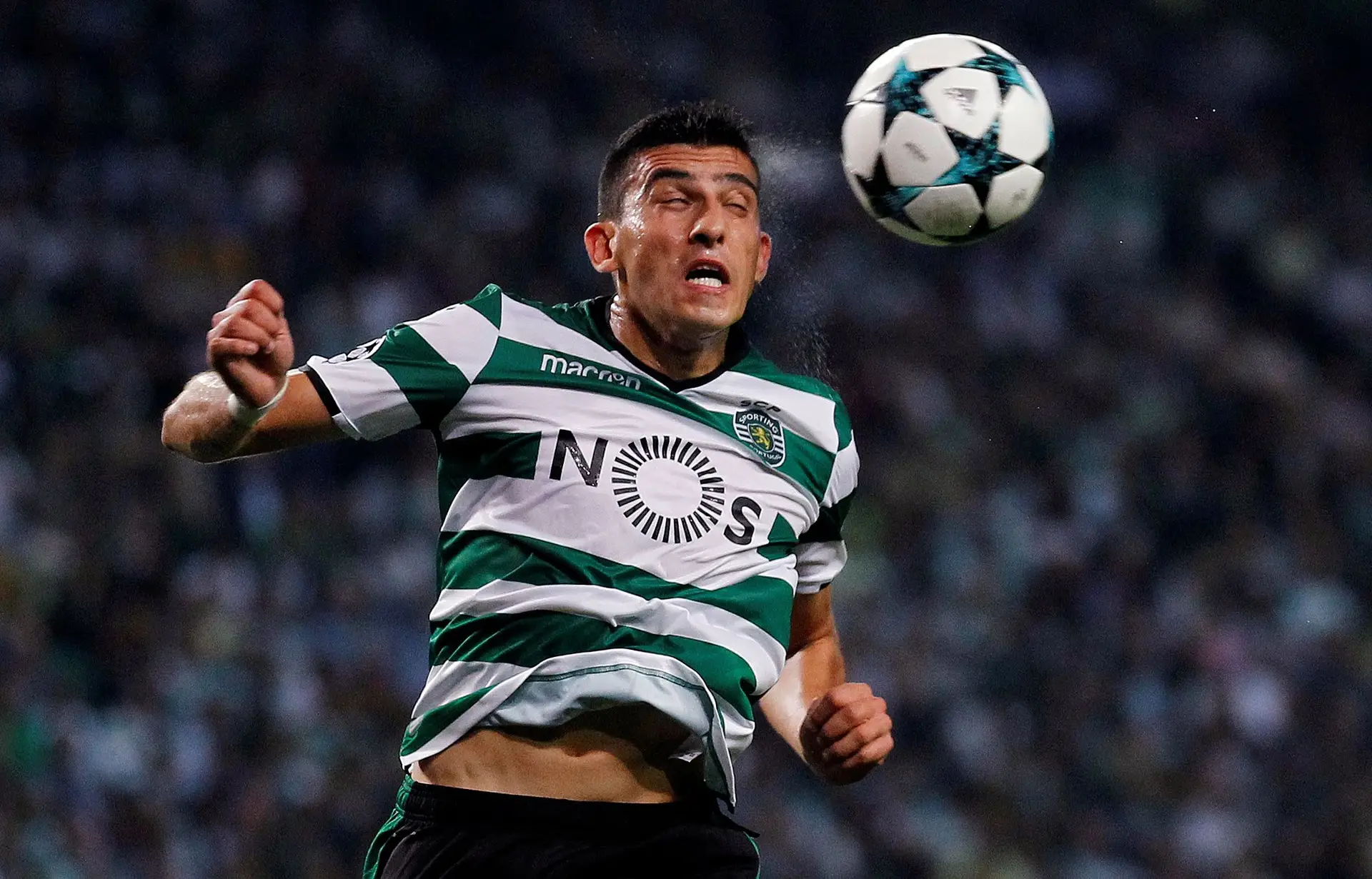 Battaglia fez primeiro treino no regresso ao Sporting