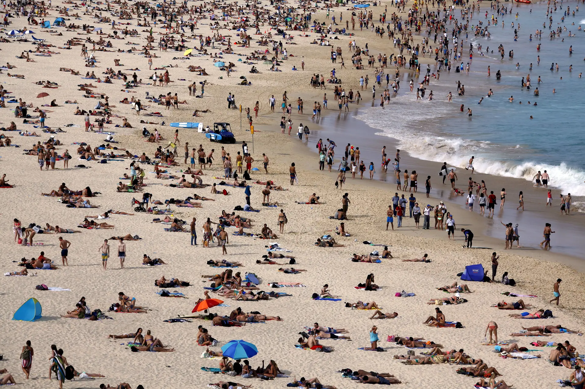 Limites de ozono podem ser ultrapassados com vaga de calor, alerta associação Zero