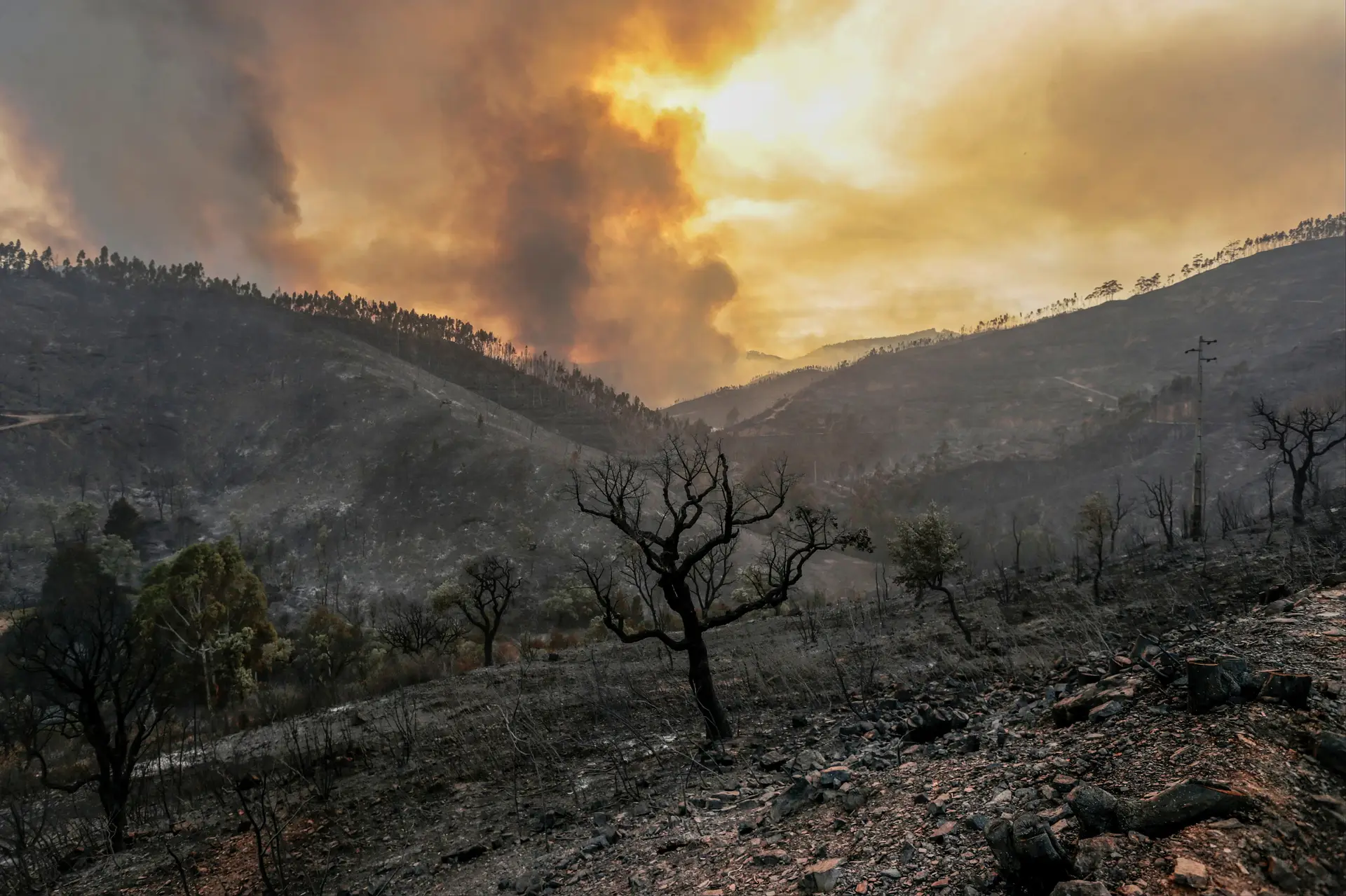 Fogo de Monchique destruiu mais de 21.300 hectares