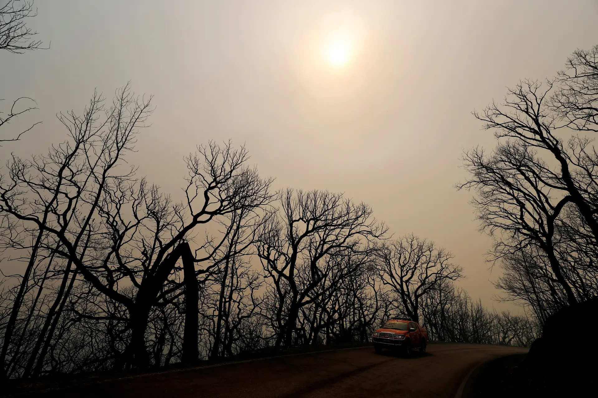Perímetro do fogo em Monchique já ultrapassa os 100 km, há 299 deslocados