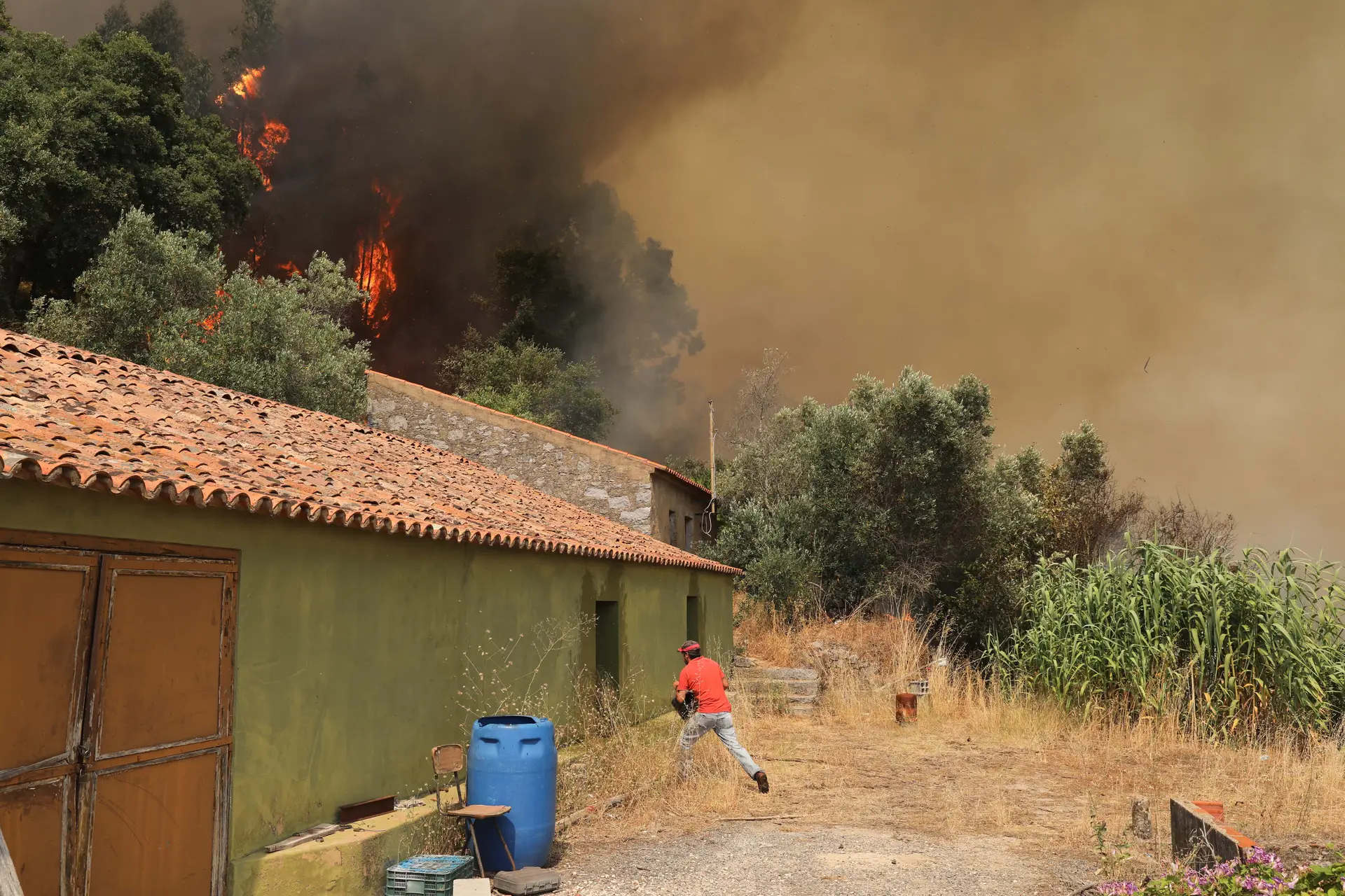 Energia elétrica reposta em 12 das 17 localidades afetadas em Monchique