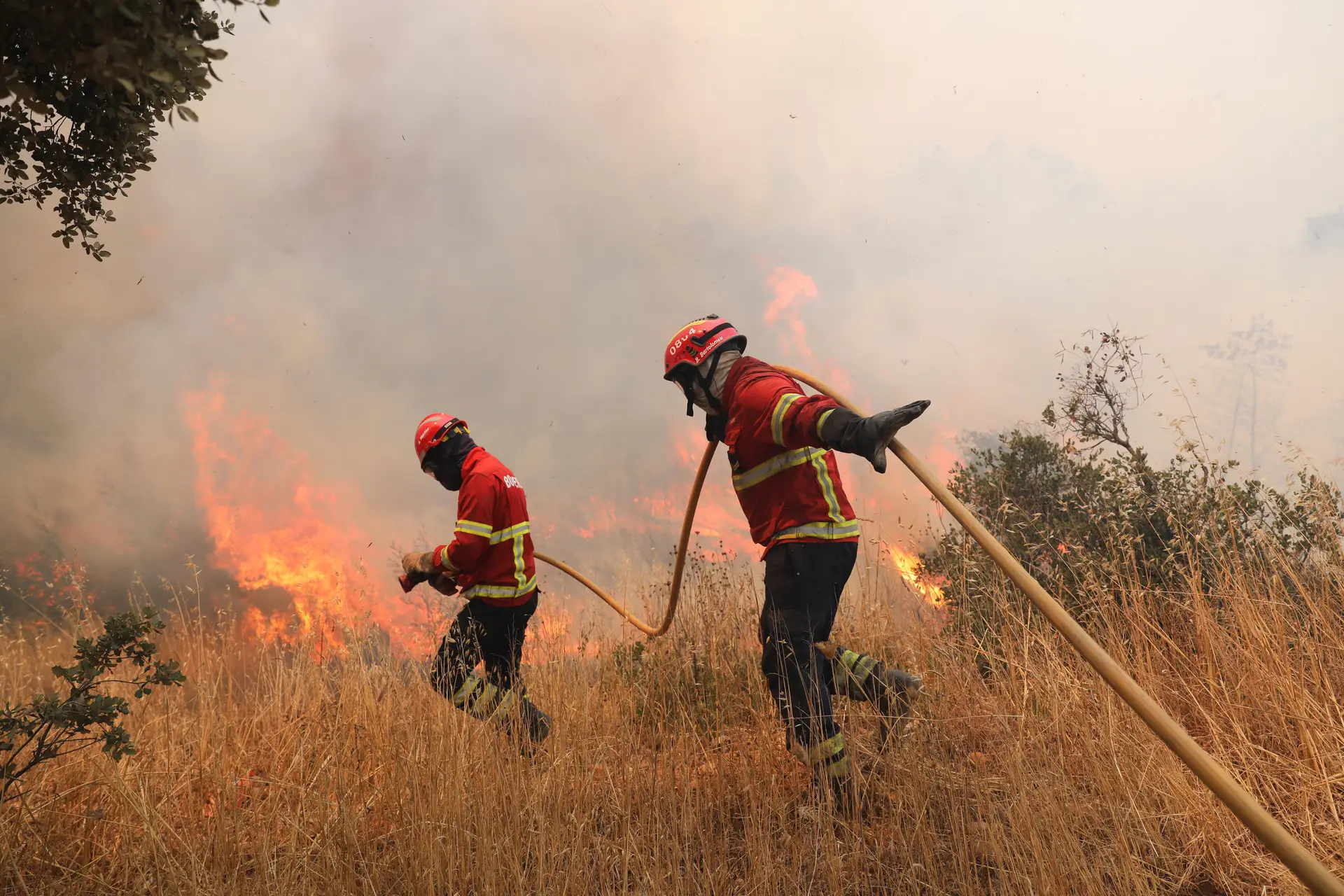 Mais de 50 concelhos em perigo máximo de incêndio
