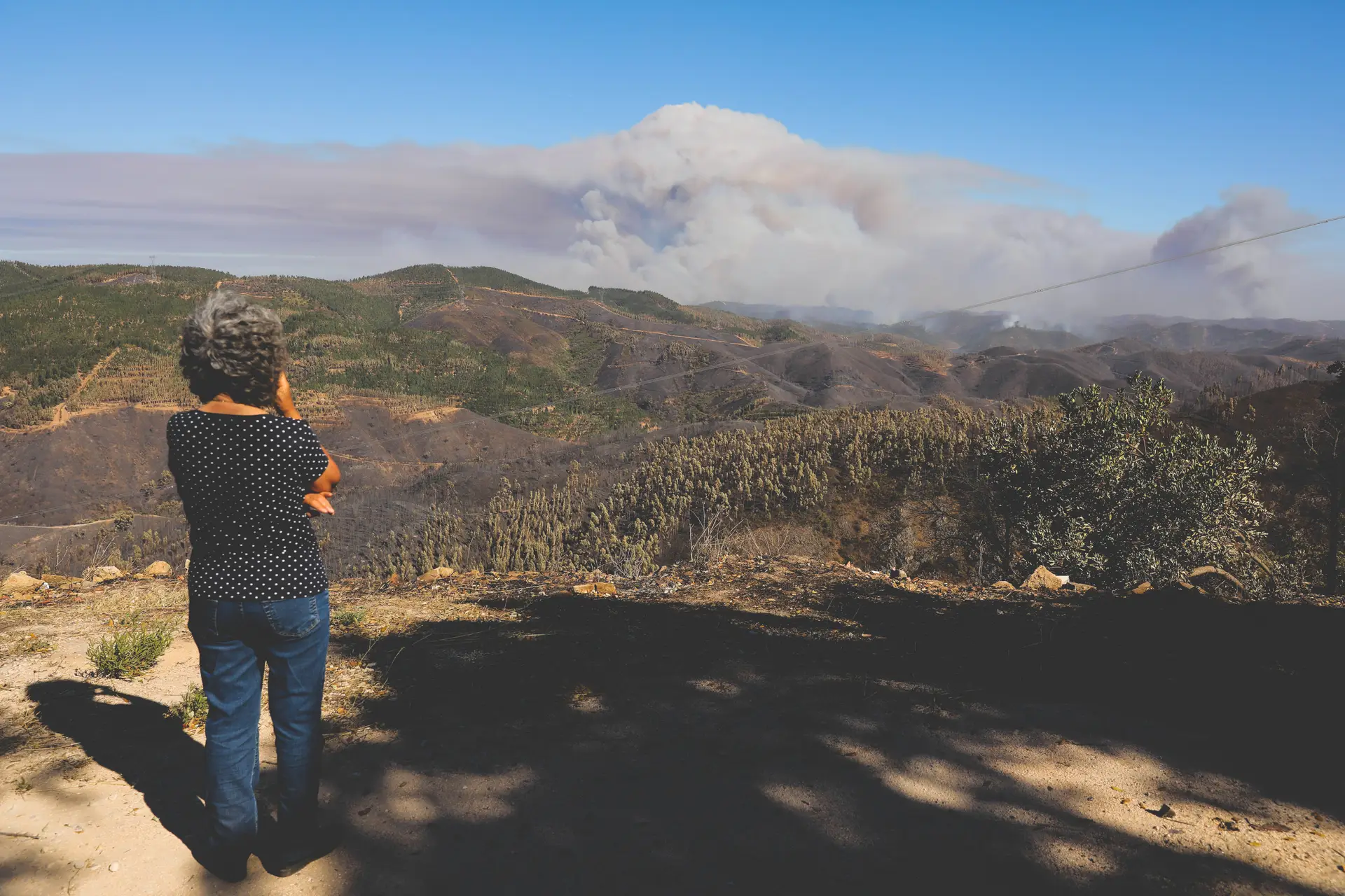 Proteção Civil violou em Monchique as regras que criou após fogo de Pedrógão