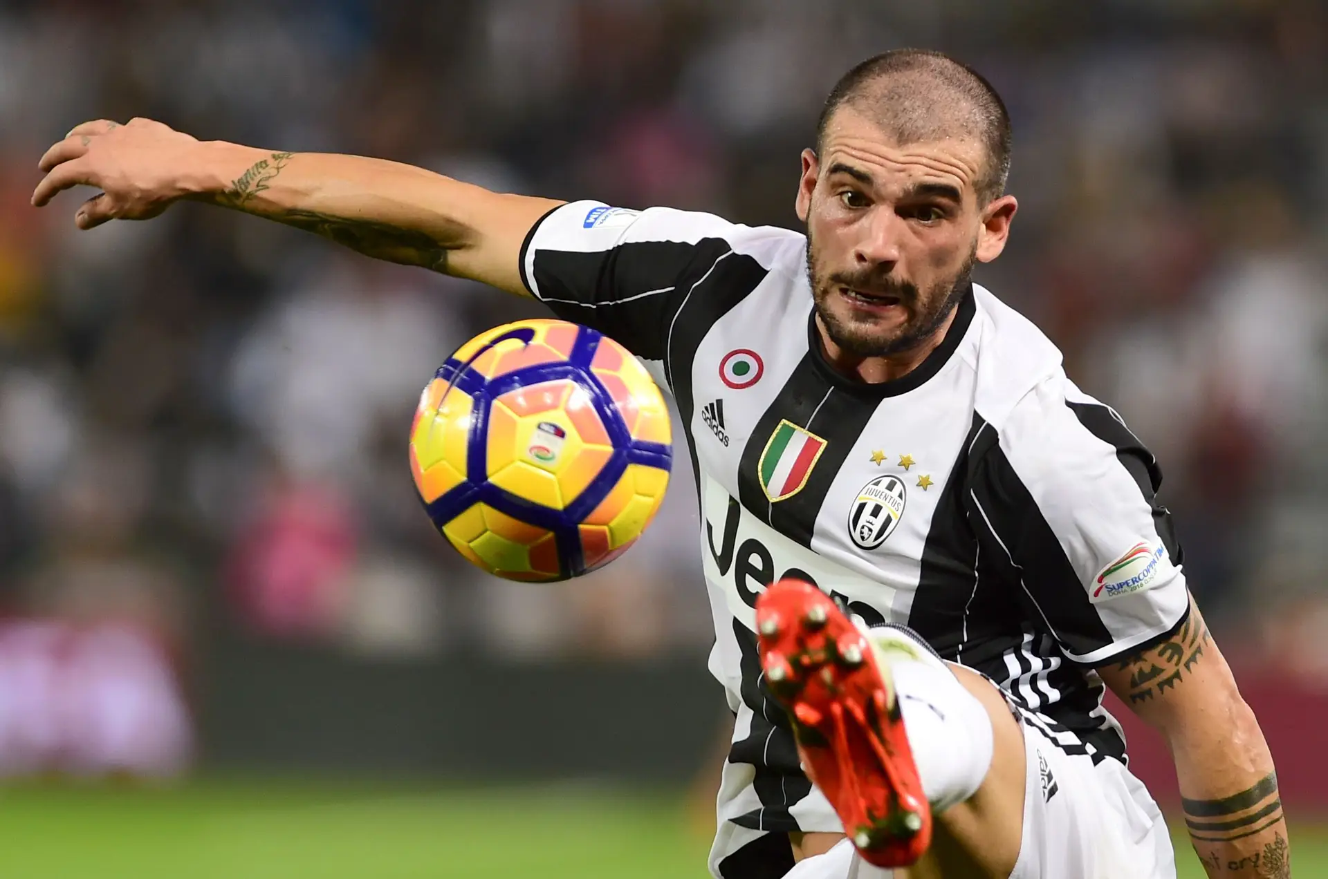 Stefano Sturaro vendido ao Génova por 16,5 milhões de euros