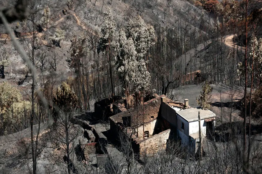 SIC Notícias | Incêndio de 2018 em Monchique. EDP ...