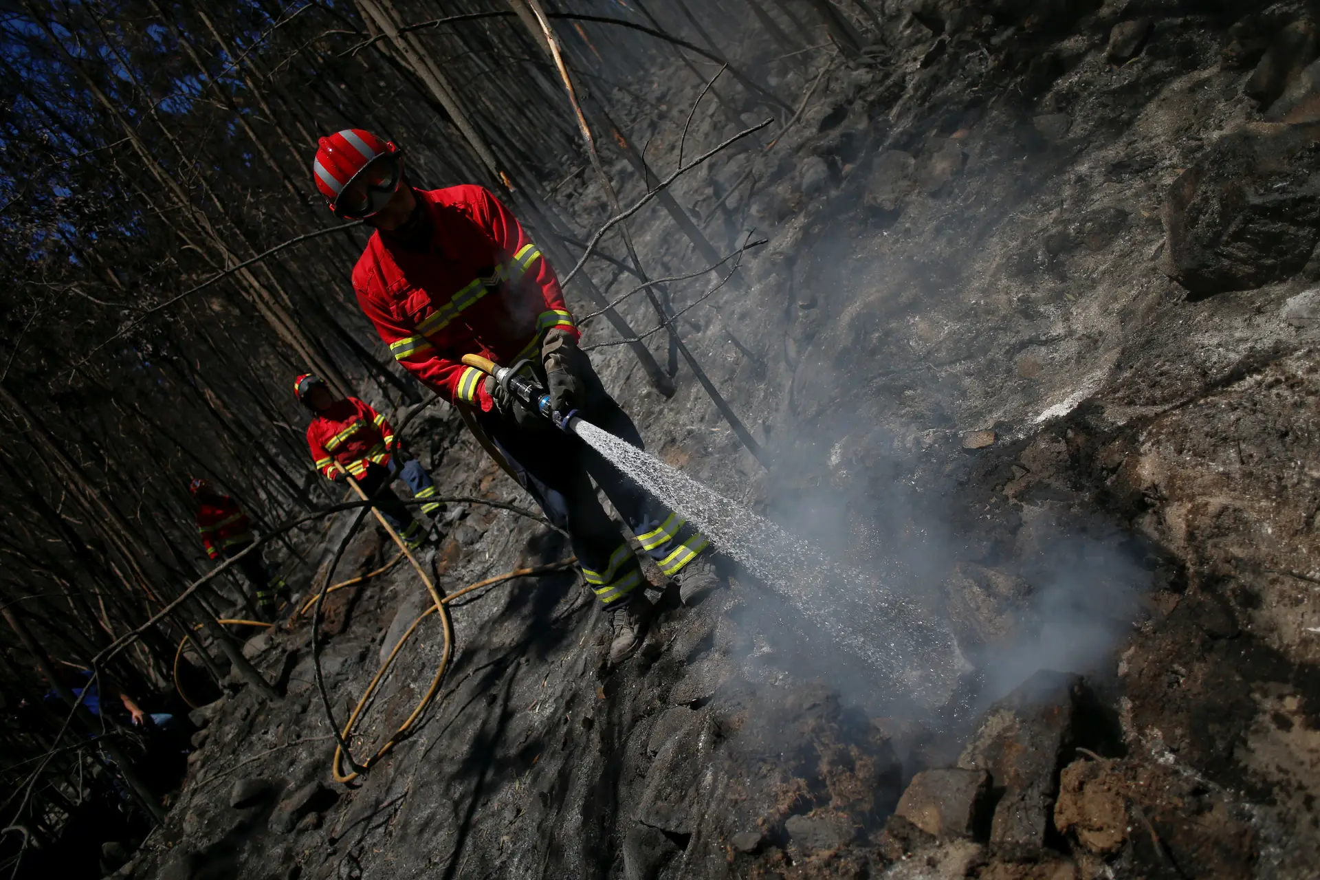 Governo agradece aos bombeiros que combateram as chamas em Monchique