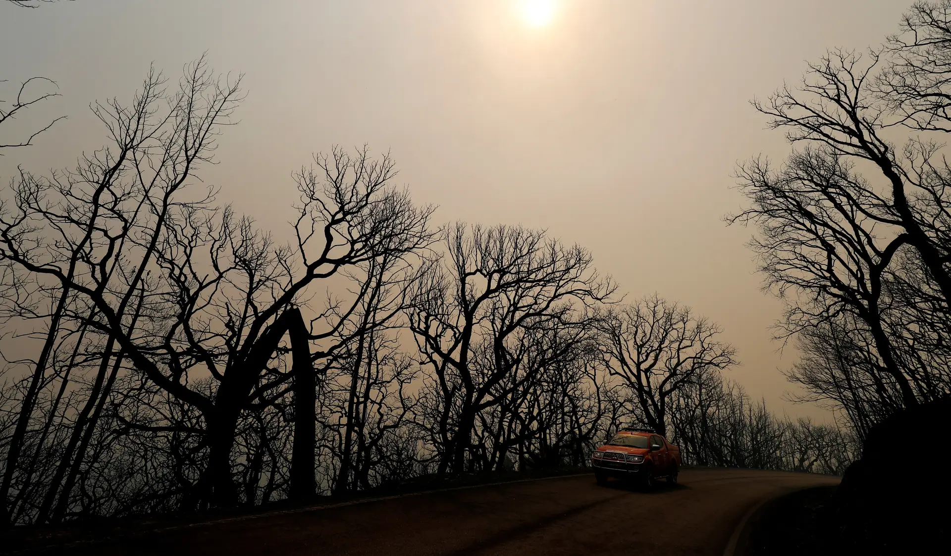 Alertas durante incêndio de Monchique foram "vitais" para 80.000 estrangeiros e turistas