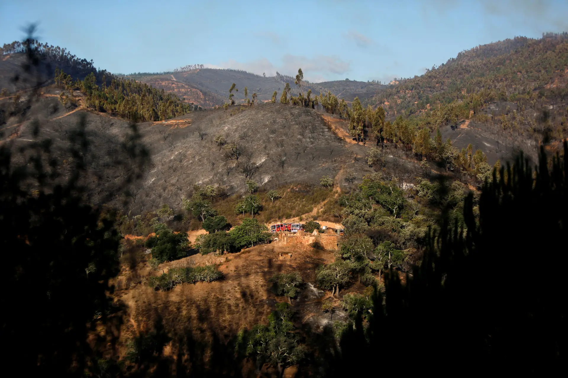 Segurança Social vai disponibilizar serviços porta a porta nas zonas afetadas pelo fogo de Monchique