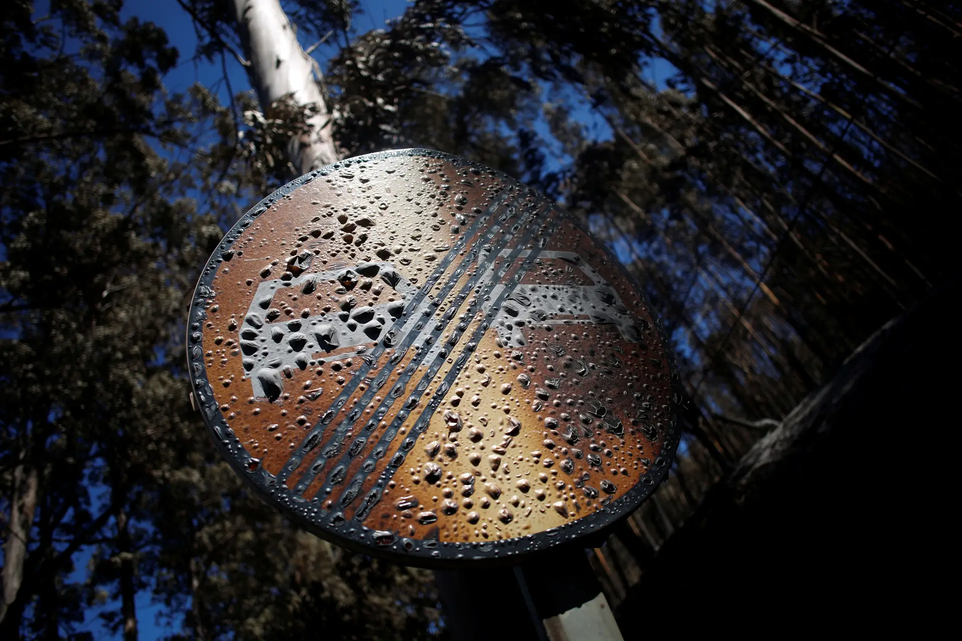 Ministros visitam esta segunda-feira Monchique e Silves