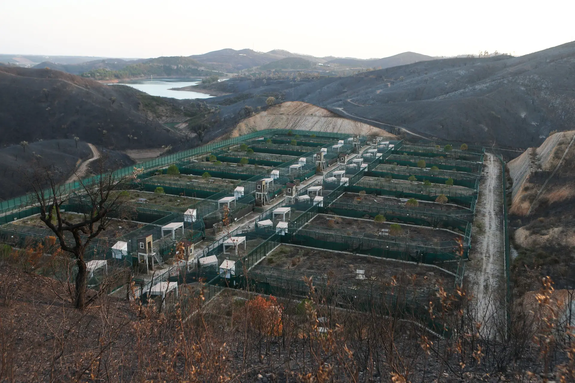 5 milhões para ajudar agricultores de Monchique: candidaturas abrem hoje