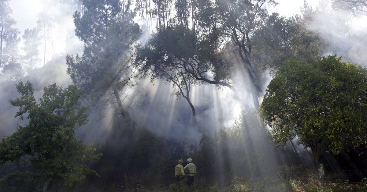 Subida da temperatura agrava risco de incêndio e d