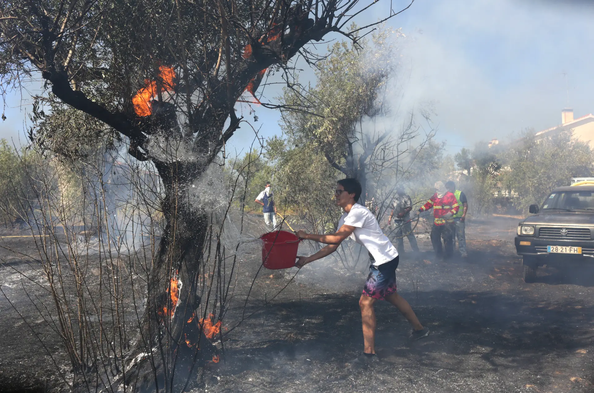 Queimadas na origem da maioria dos fogos este ano