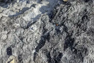 Geologia ajuda a explicar mudanças associadas ao aquecimento da Terra