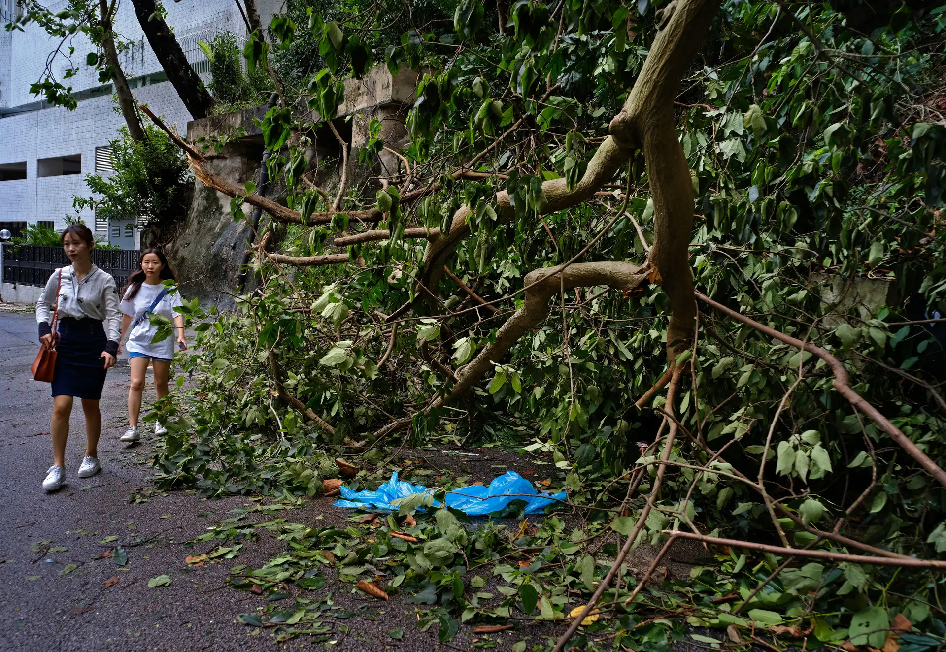 Macau começa a limpar após pior tempestade do ano