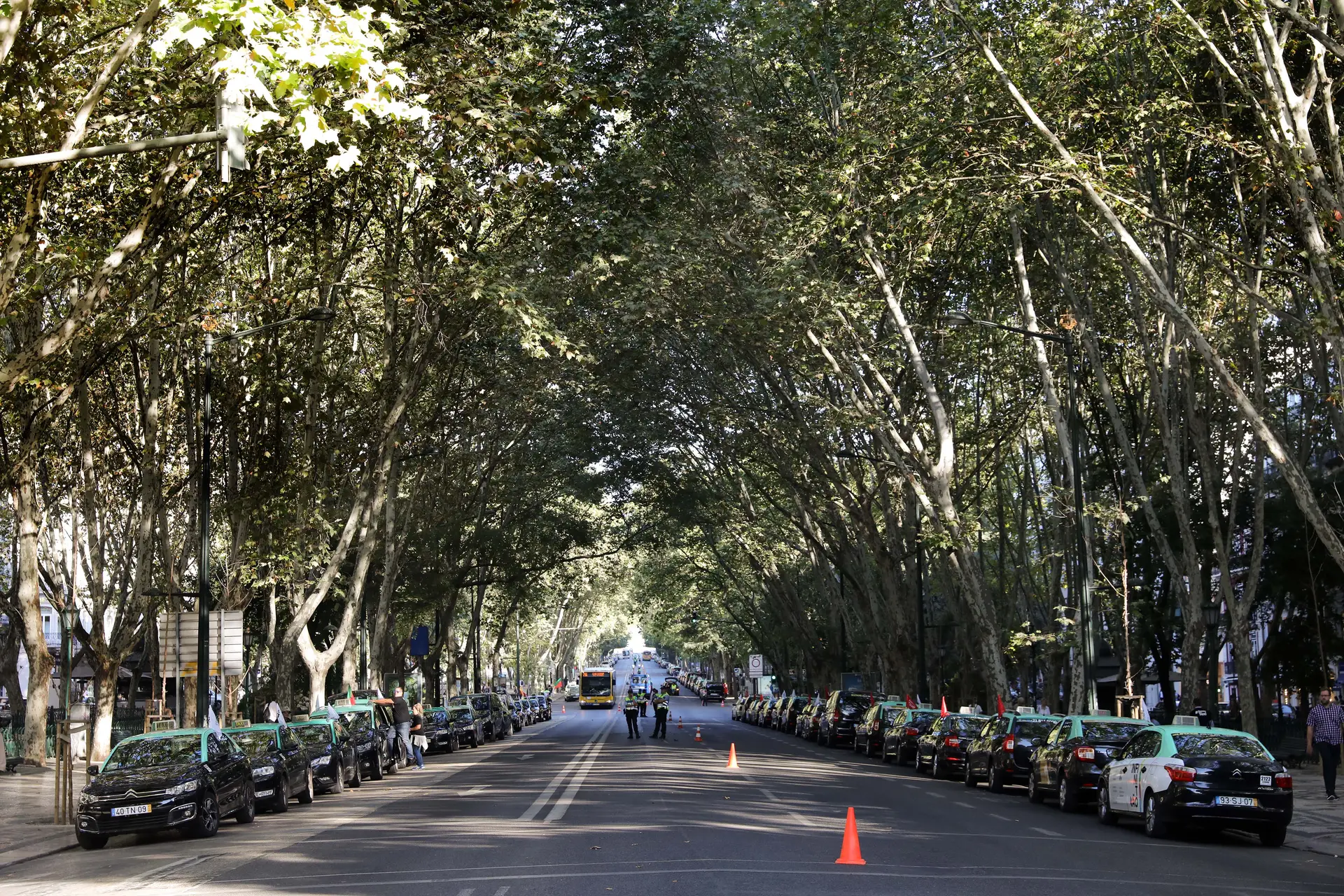 Taxistas em protesto em Lisboa preparados para pernoitar