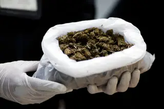 Tailândia vai usar canábis apreendida para fabricar fármacos