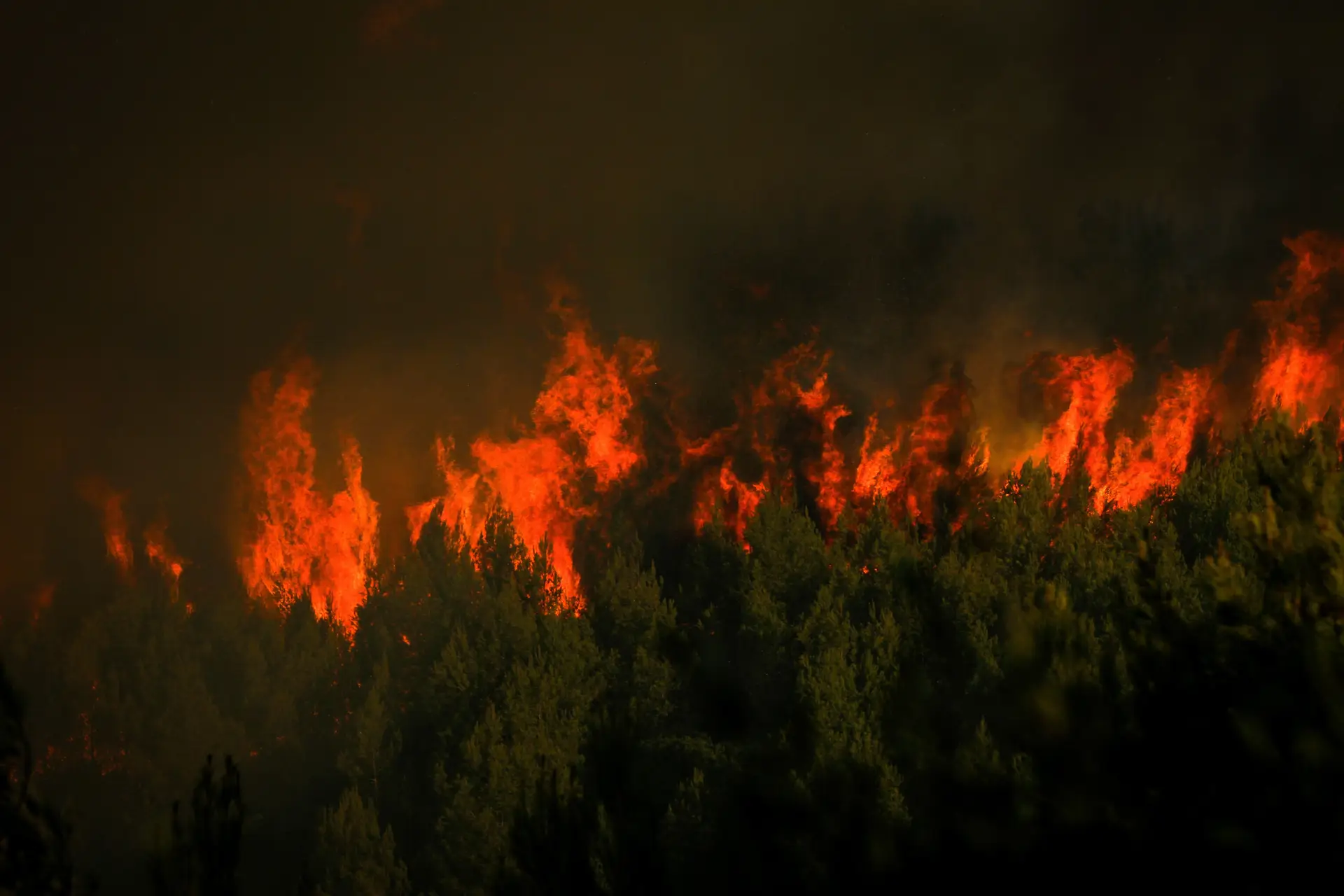 Trânsito interditado na serra de Sintra devido a risco de incêndio