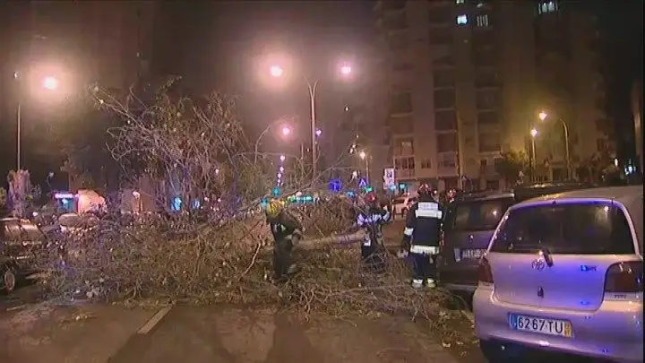 Tempestade Leslie já derrubou mais de uma centena de árvores em Lisboa, Leiria e Setúbal