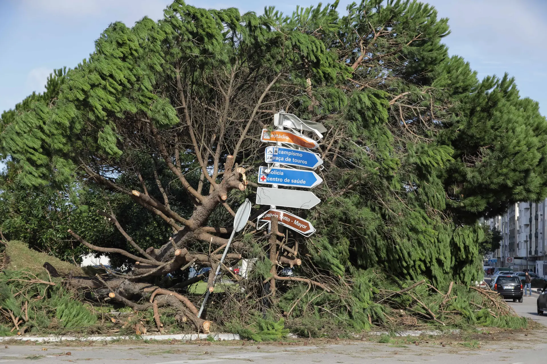 Figueira da Foz
