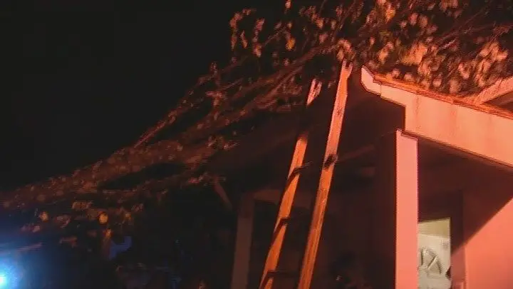 Árvores caídas e telhas arrancadas pelo vento no Grande Porto