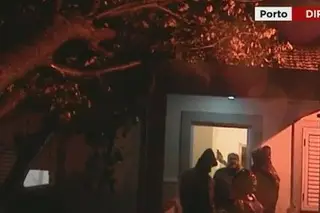 Árvore cai em cima de uma casa em Paranhos, no Porto