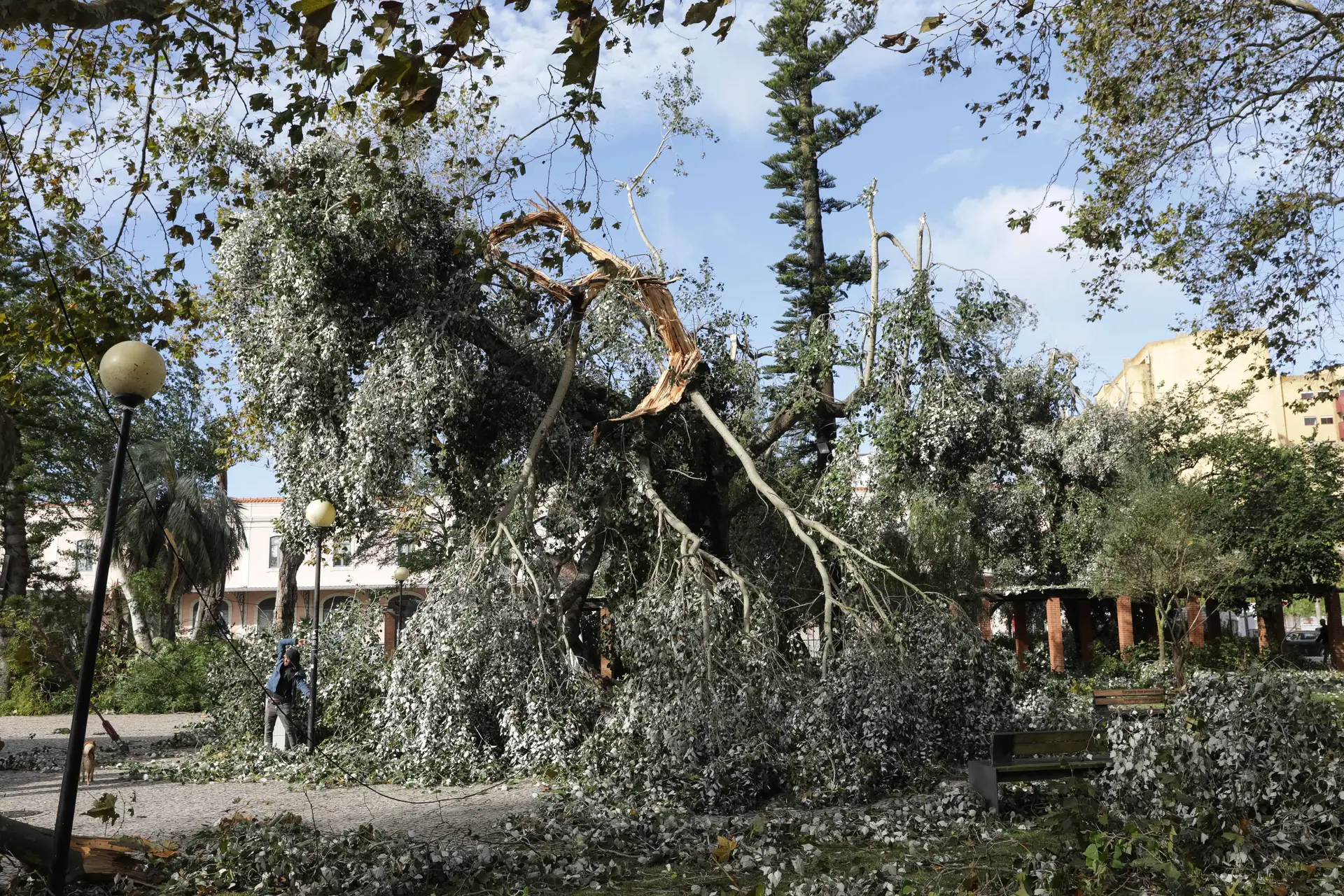 Catástrofes naturais em 2020 custaram a Portugal mais de 50 M€